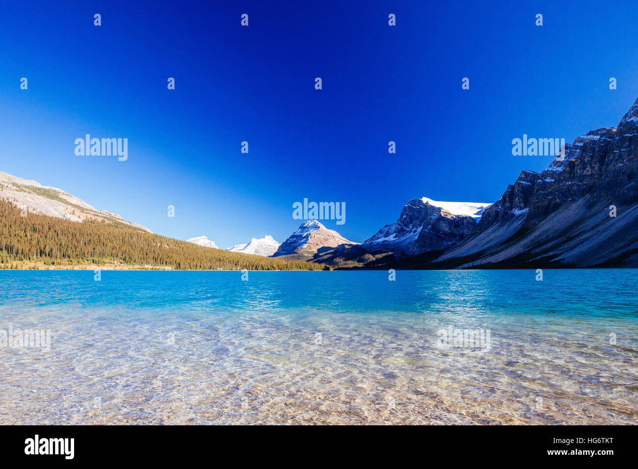 Bow Lake è un piccolo lago nel western Alberta, Canada. Si trova sul fiume Bow, nelle Montagne Rocciose Canadesi, ad una altitudine di 1920 m. Foto Stock