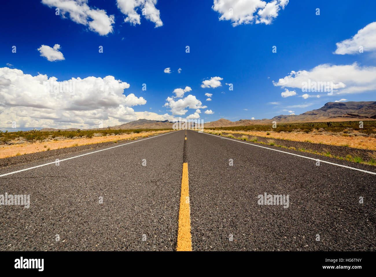 County Highway 91 Littlefield, AZ 86432, STATI UNITI D'AMERICA. Infinite road nel deserto dell'Arizona. Foto Stock
