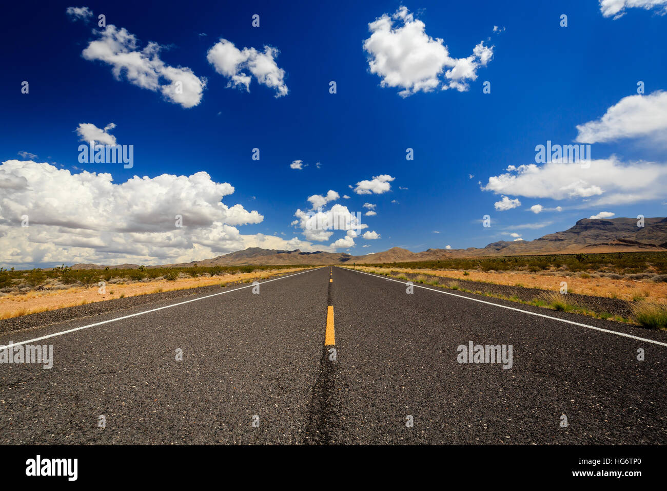 County Highway 91 Littlefield, AZ 86432, STATI UNITI D'AMERICA. Infinite road nel deserto dell'Arizona. Foto Stock