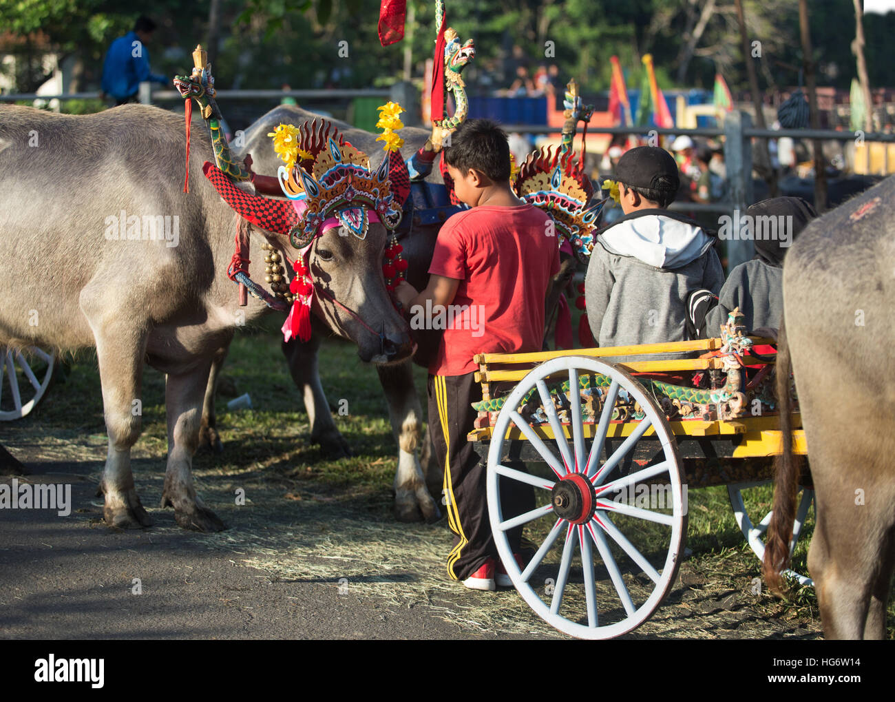 Bambini Balinese con racing buffalo's all'Makepung Jembrana Cup 2016 Foto Stock