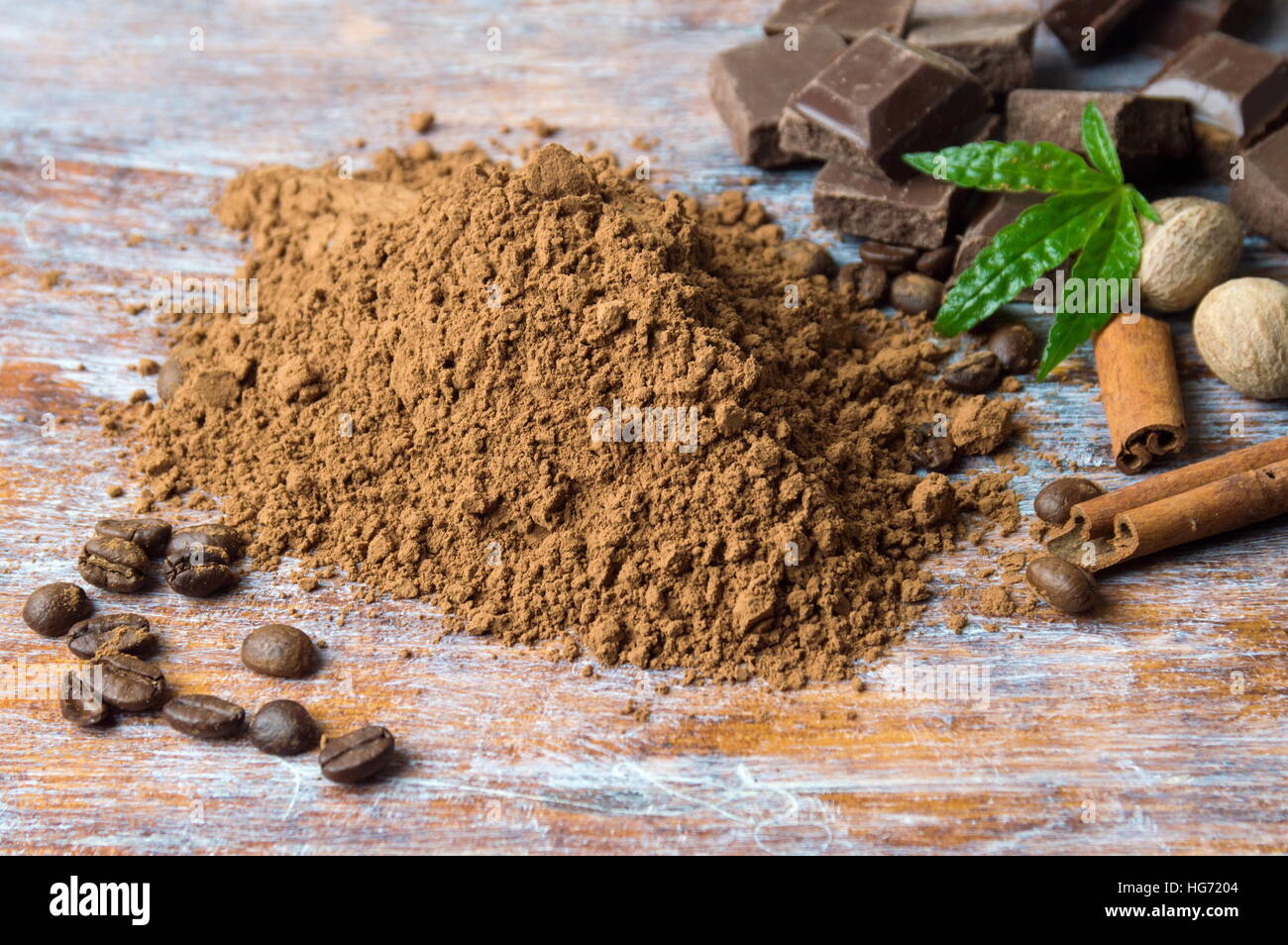 La polvere di cacao con pezzetti di cioccolato e cannella Foto Stock