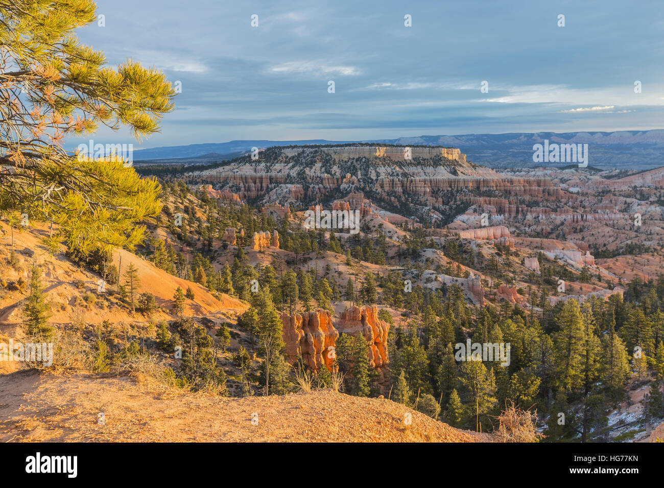 Vista la mattina dal punto di Sunrise al Parco Nazionale di Bryce Canyon nel sud dello Utah. Foto Stock