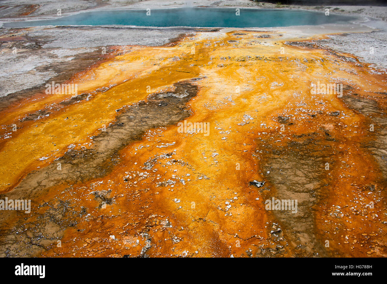 Colori vibranti accanto alla piscina nera nel West Thumb Geyser Basin, il Parco Nazionale di Yellowstone Foto Stock