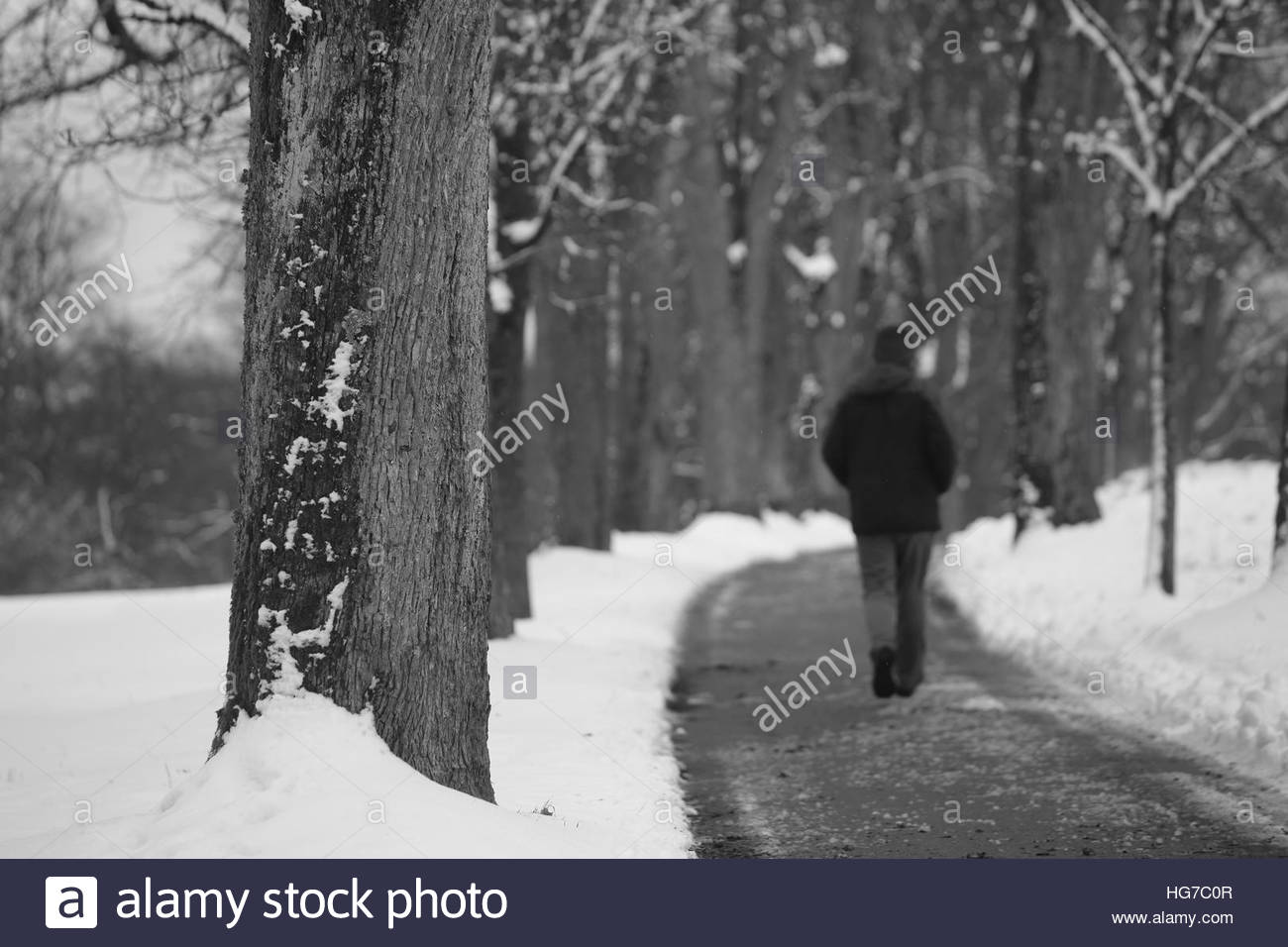 Una foto in bianco e nero di un uomo di mezza età a piedi lungo una strada tra gli alberi in inverno Foto Stock