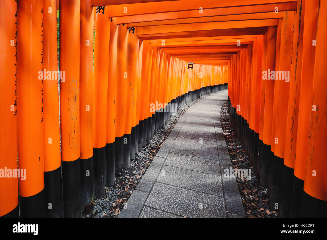 Torii percorso in corrispondenza di Fushimi Inari Taisha a Kyoto, Giappone Foto Stock