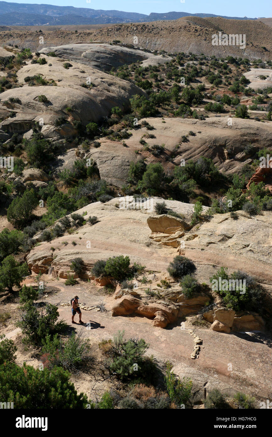 Escursionista inclinato su strati di roccia Dinosaur National Monument Utah Foto Stock