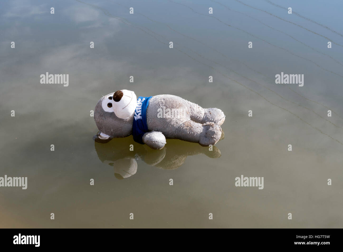Teddy bear floating immagini e fotografie stock ad alta risoluzione - Alamy