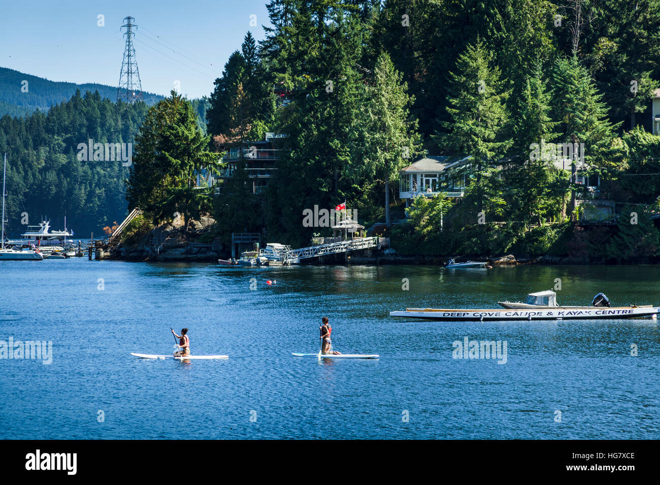 Due persone paddleboarding sulle calme acque di Deep Cove, Vancouver, in estate, British Columbia, Canada Foto Stock