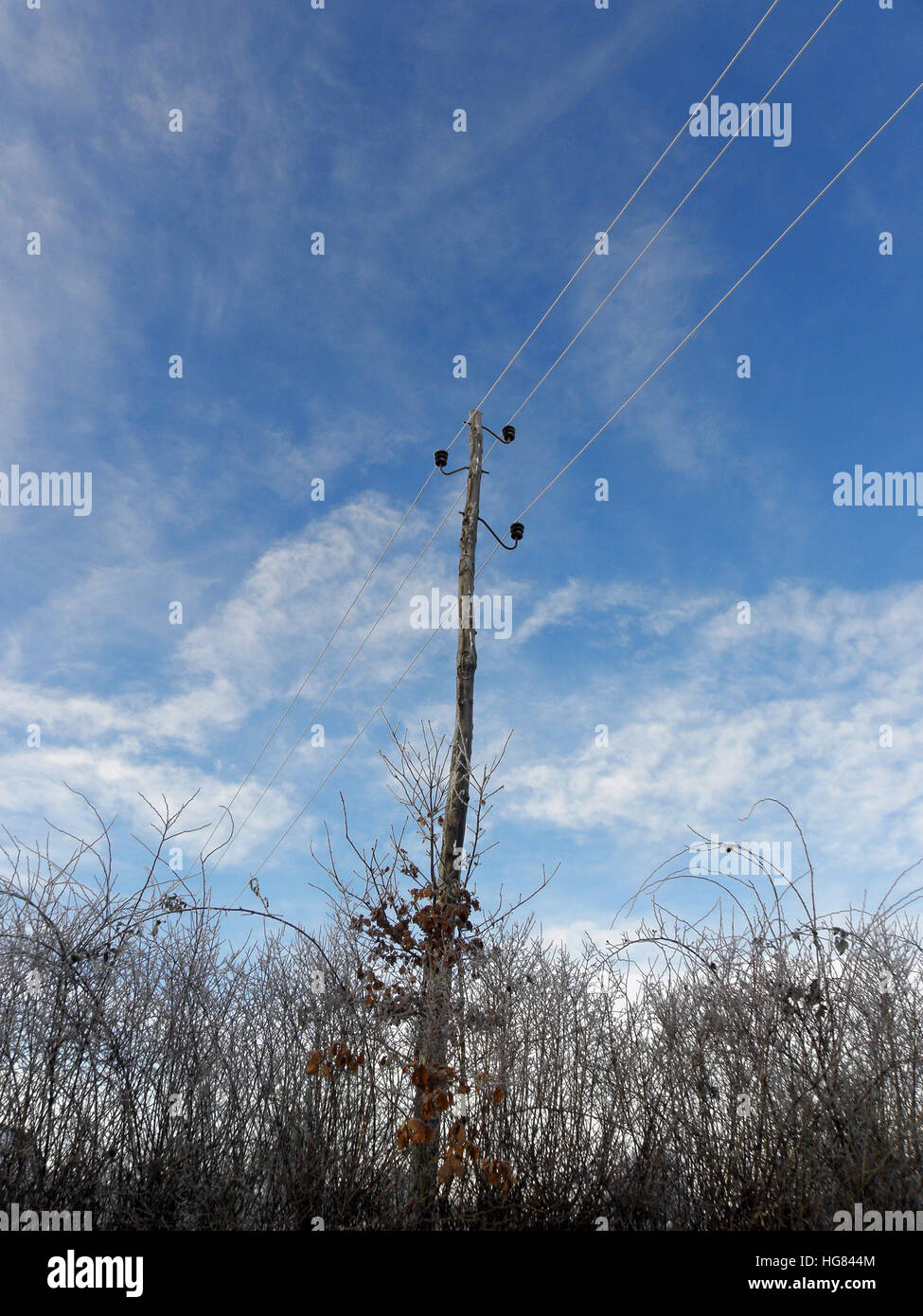 Natale in campagna,brina e neve,croazia,l'Europa,3 Foto Stock