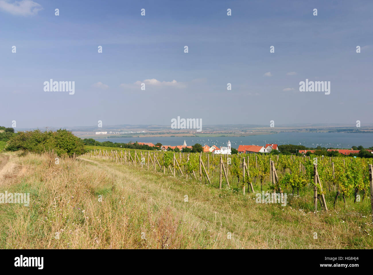 Pavlov (Pollau): campi di vino, villaggio Pollau e Neumühler lago artificiale, , Jihomoravsky, Südmähren, Moravia del sud, ceco Foto Stock