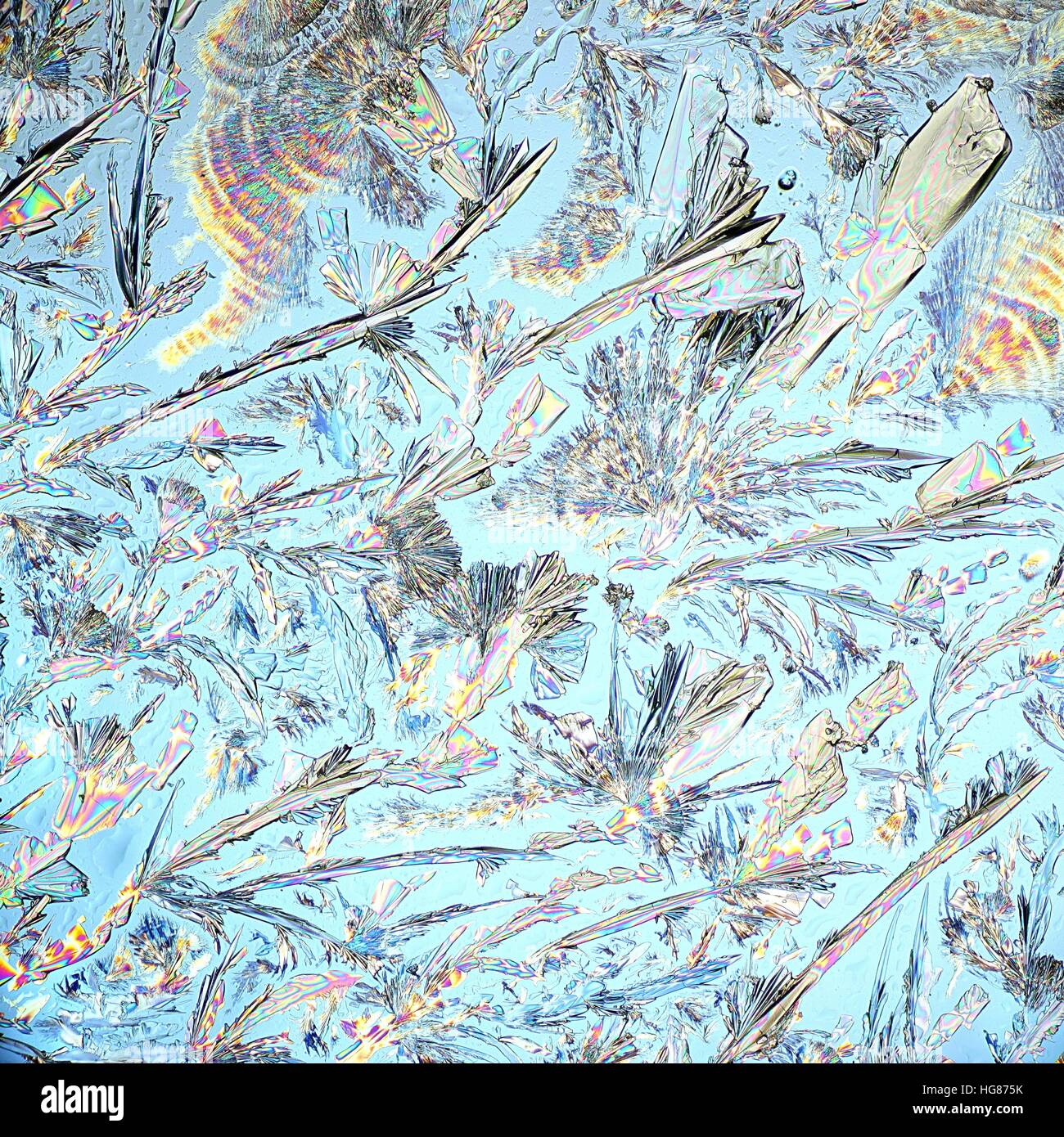 Immagine al microscopio di acidi misti (tartarico, acido ascorbico, acido citrico) Foto Stock