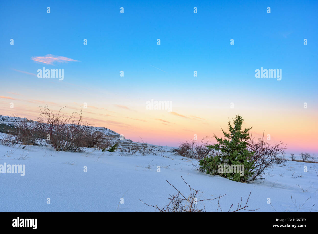 Tramonto colorato in campo nevoso con albero di ginepro Foto Stock