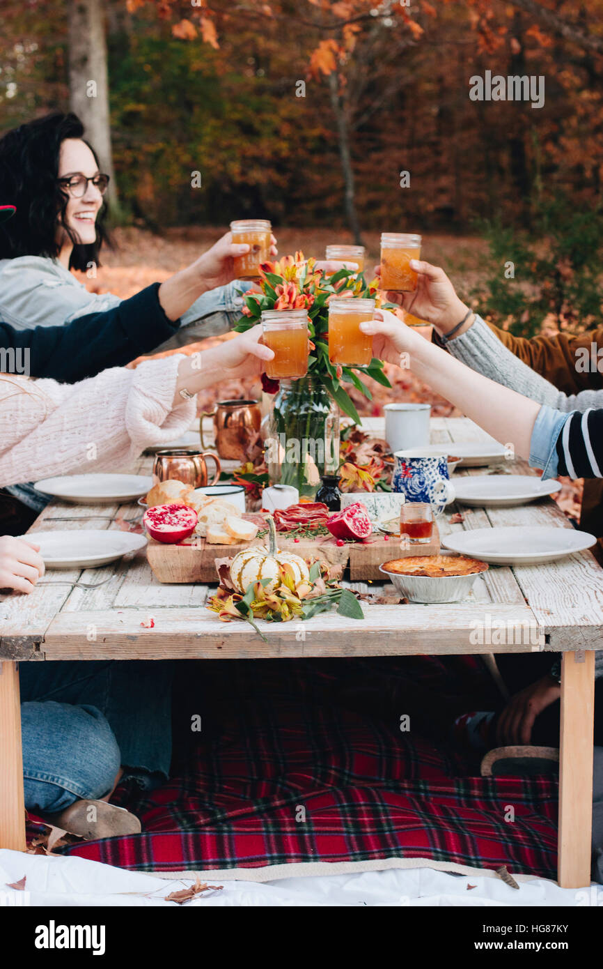 Amici di bevande di tostatura seduti a tavola sul campo Foto Stock