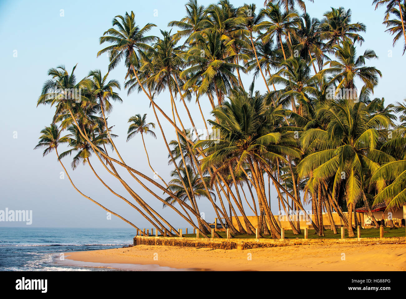 Sri Lanka: la spiaggia a sud della costa dell'Oceano Indiano Foto Stock