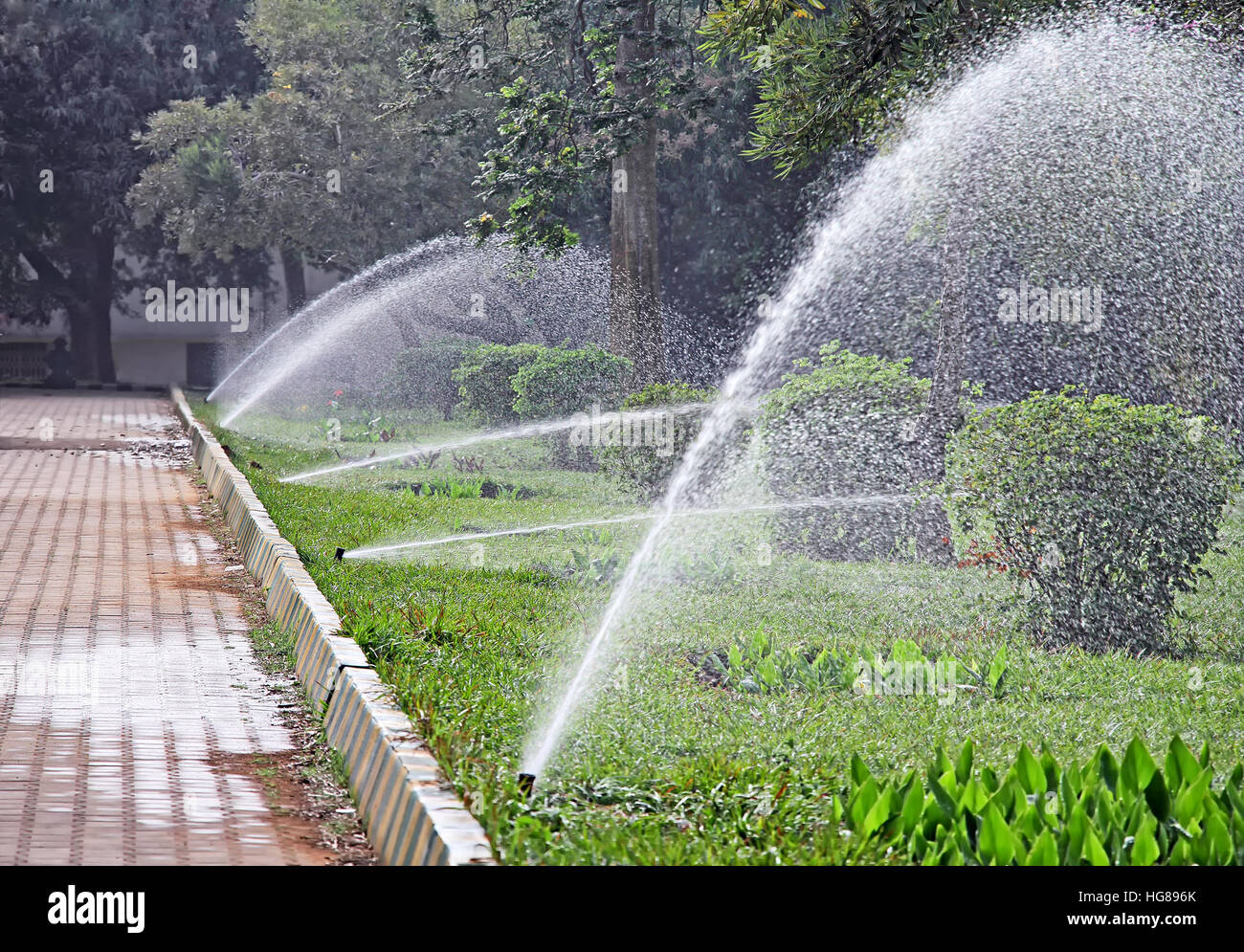 Più lavoro sprinkler acqua in una fila di irrigazione del giardino del parco Foto Stock