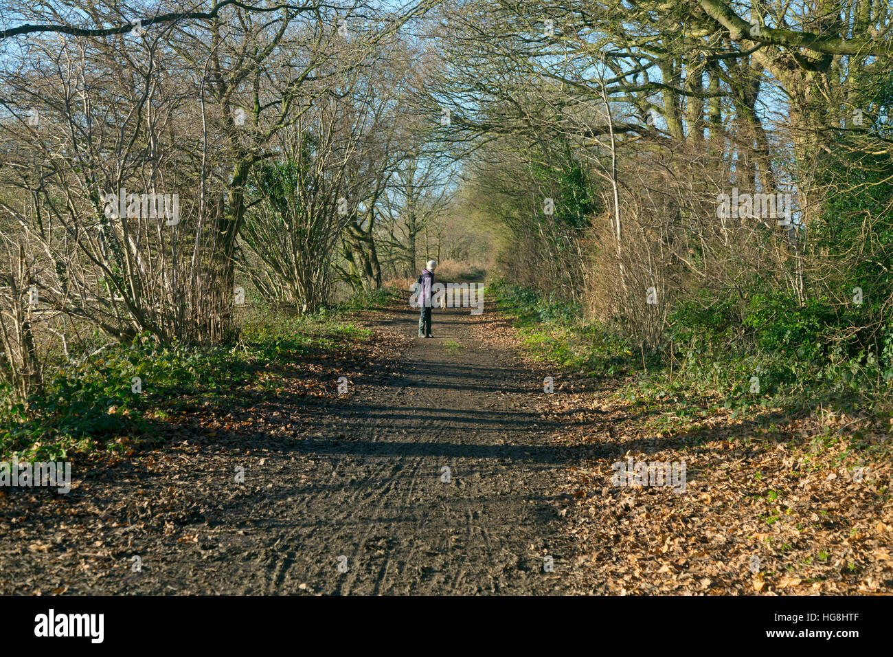 Marriott il modo in disuso la linea ferroviaria su Norwich a Aylsham ferrovia a Reepham Norfolk Foto Stock