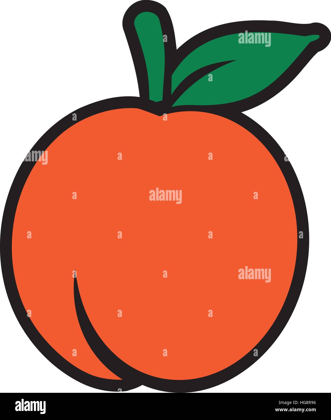 Pesche noci la frutta di arancia Illustrazione Vettoriale
