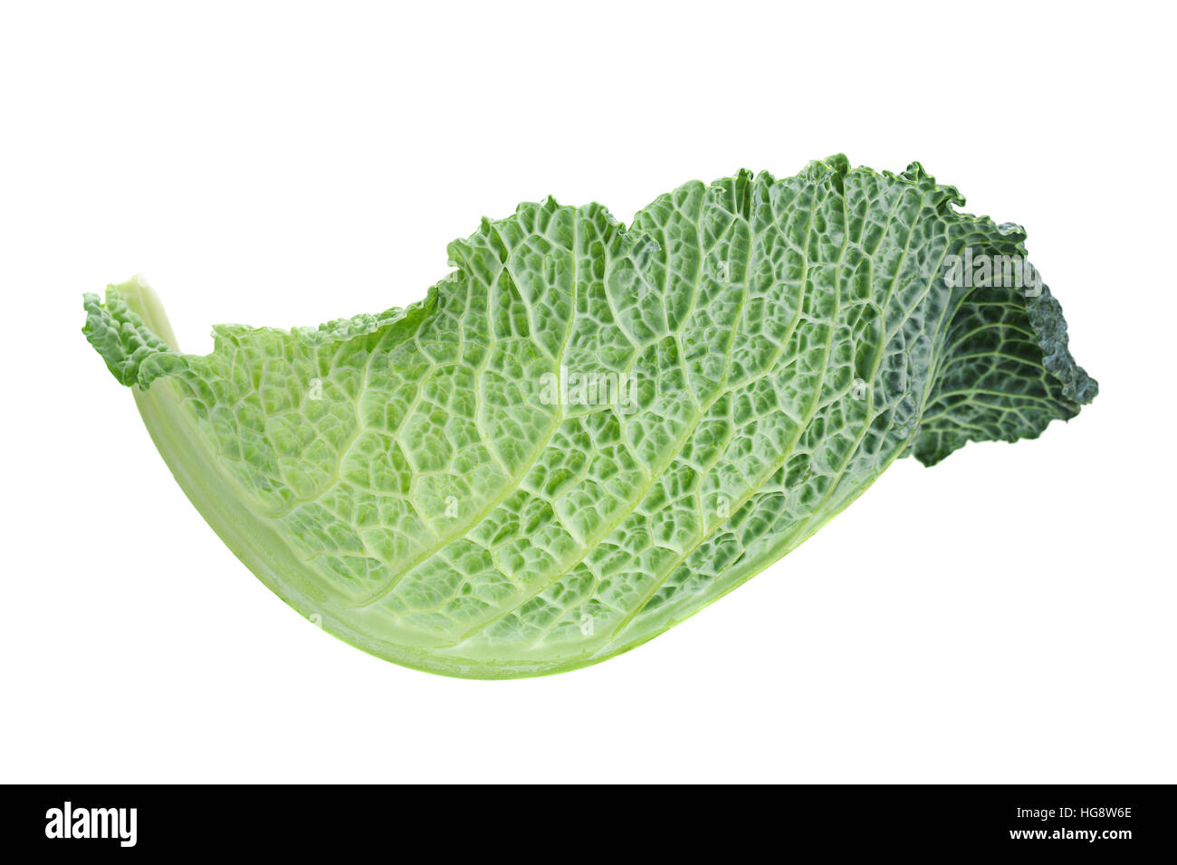 Cavolo verza foglia vegetale isolato su sfondo bianco Foto Stock