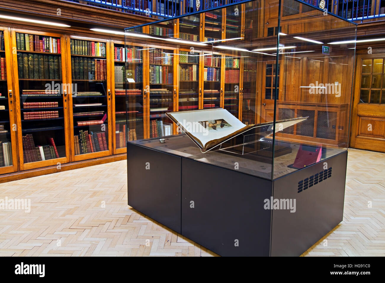 Gli uccelli di America, uno dei più importanti libri del mondo ($8 milioni) sul display in Liverpool Central Library Foto Stock