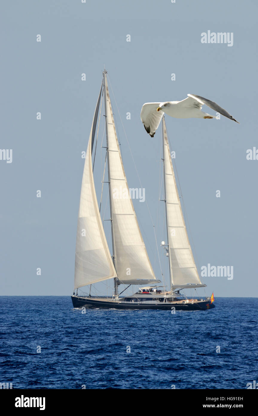 Una delle navi, azionata dal vento sul mare infinito è il simbolo della libertà. Foto Stock