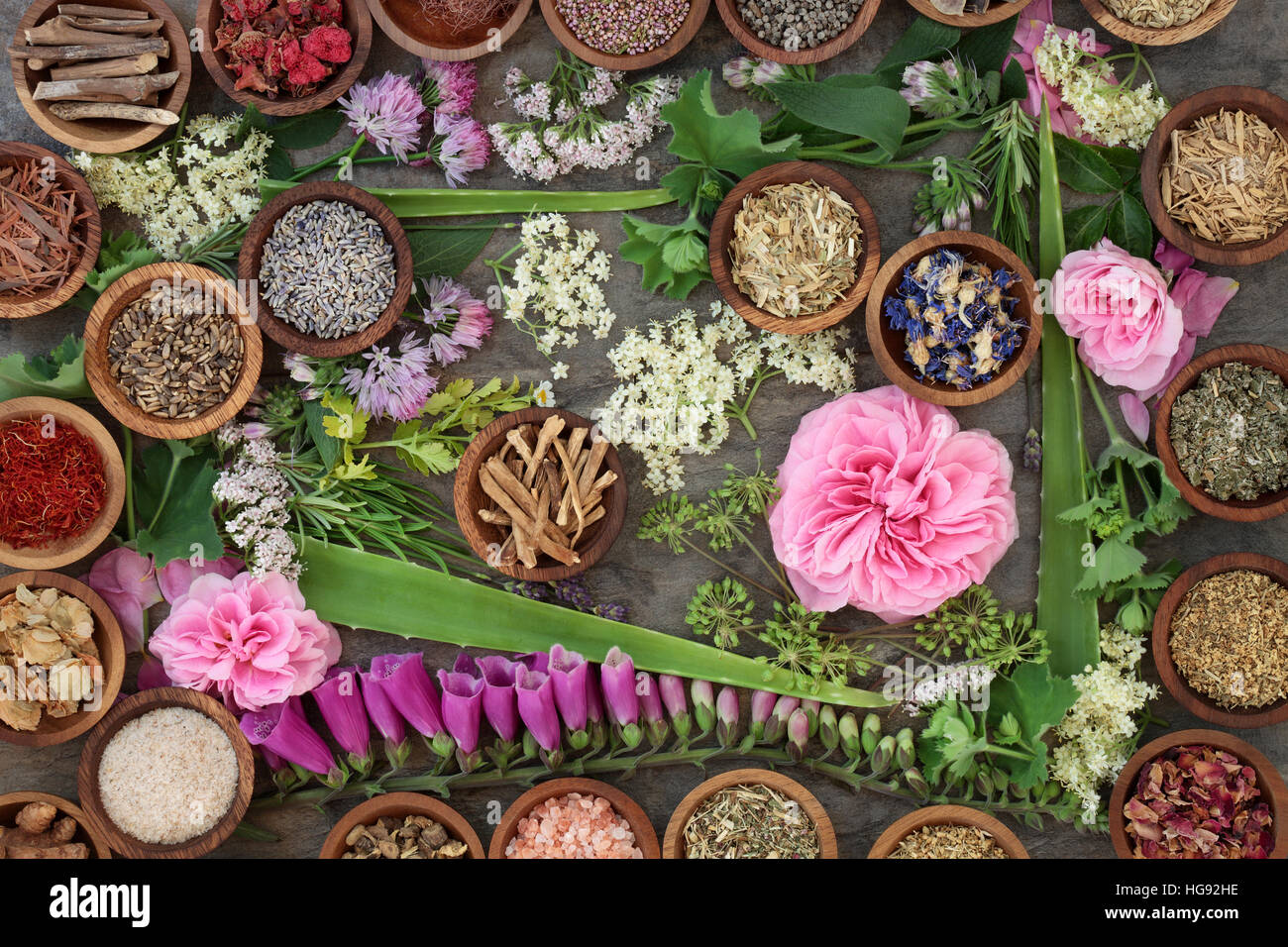 Grande secca e fresca di erbe e la raccolta di fiori utilizzati in alternativa naturale della medicina. Foto Stock