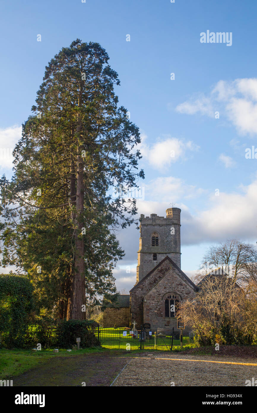 St sposa la Chiesa, Wentloog Foto Stock