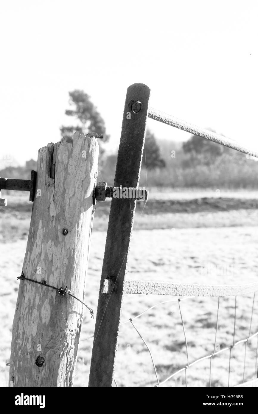 Legno stagionato post con filo spinato e ruggine iron gate sfondo luminoso Foto Stock
