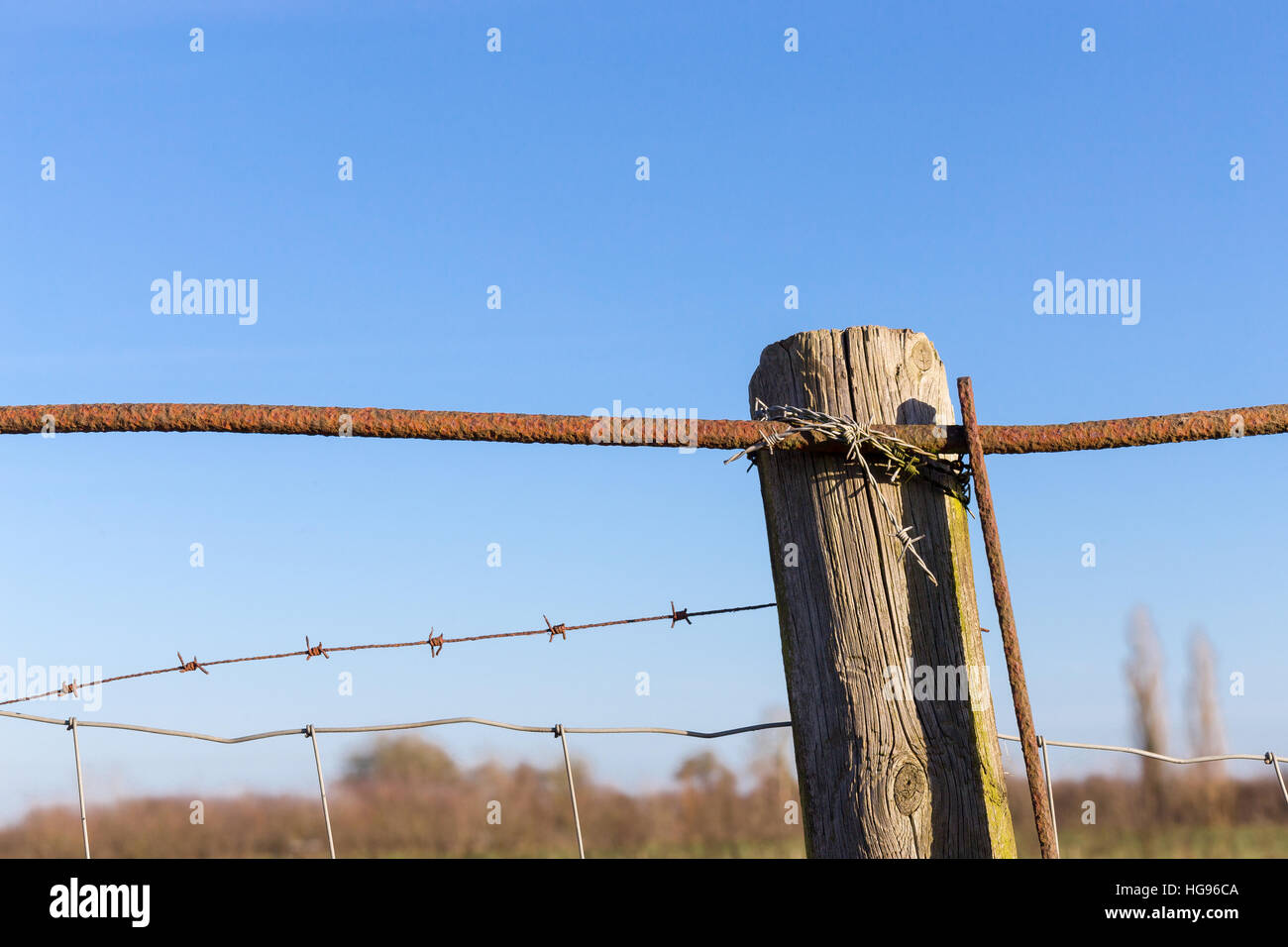 Rusty filo spinato vecchio ruvida metallo arrugginito pali recinzione di sicurezza Foto Stock