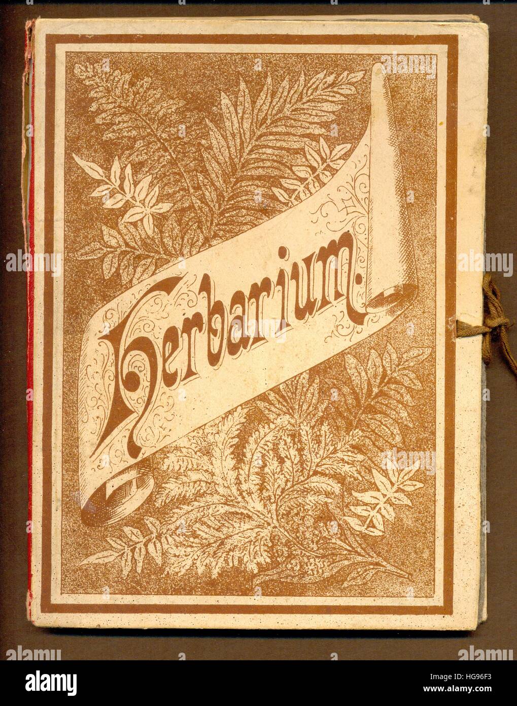 Erbario, un album di fogli di carta assorbente destinato per la pressatura di fiori Foto Stock