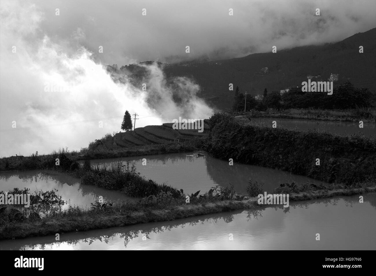 Yuanyang Hani terrazze di riso, Yunnan, Cina, estate Foto Stock