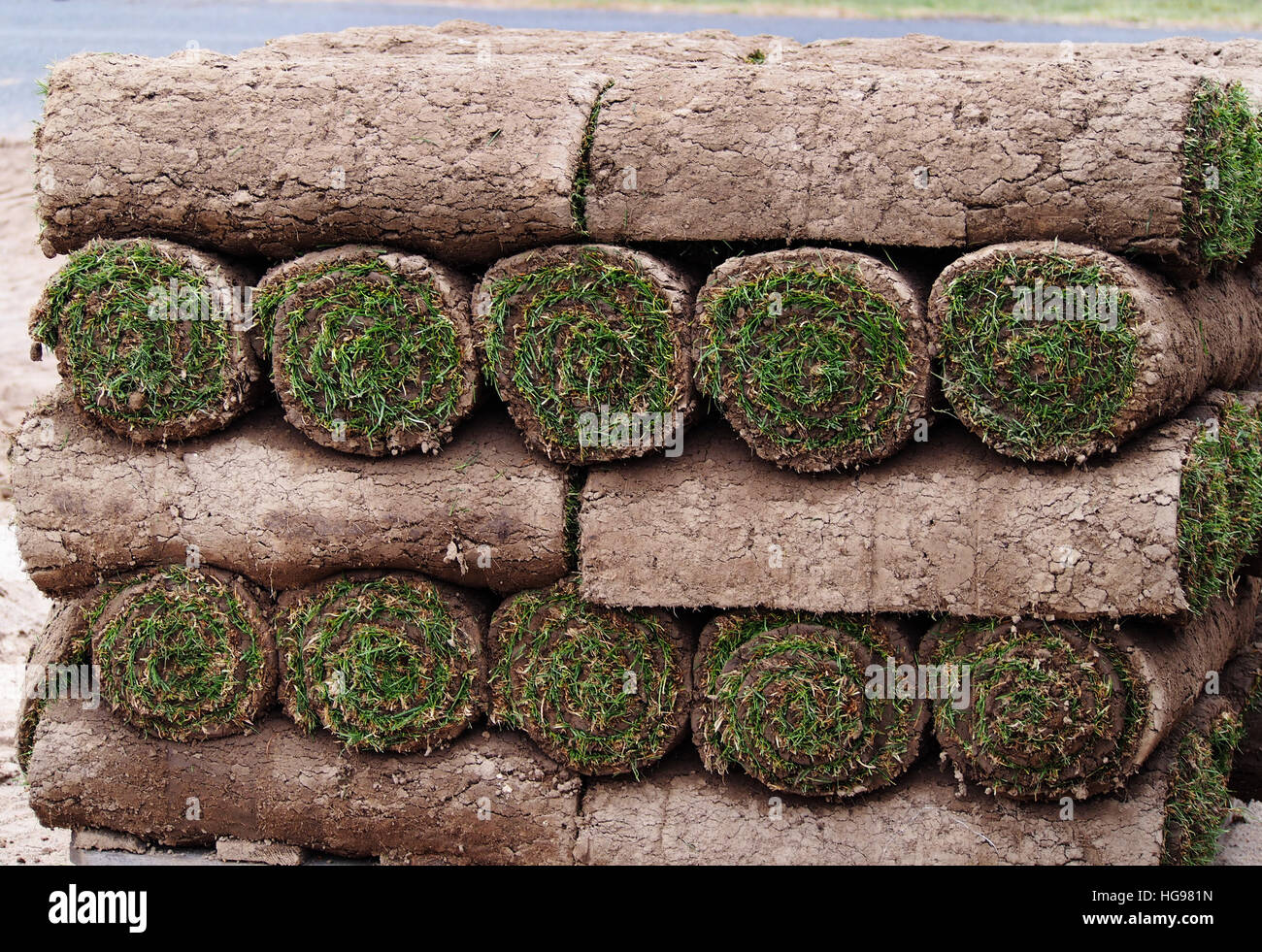 Tappeto di turf - rotolo di sod - turf rotolo di erba Foto Stock