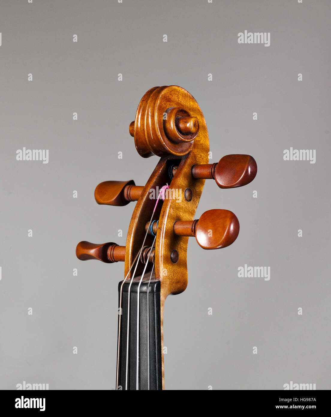 Dettaglio di un violino capo / ripiegamento su di un bianco - sfondo grigio. Foto Stock