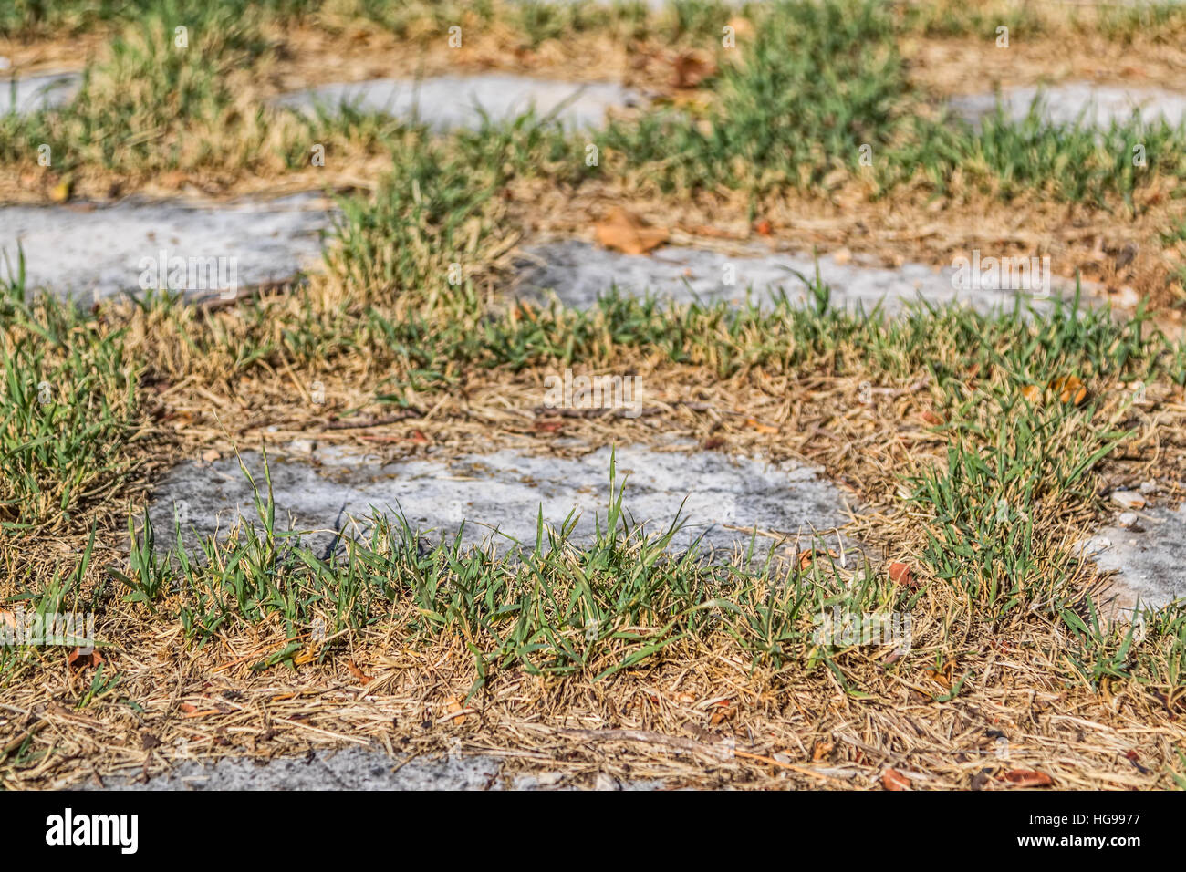 Vecchia strada di pietra Foto Stock