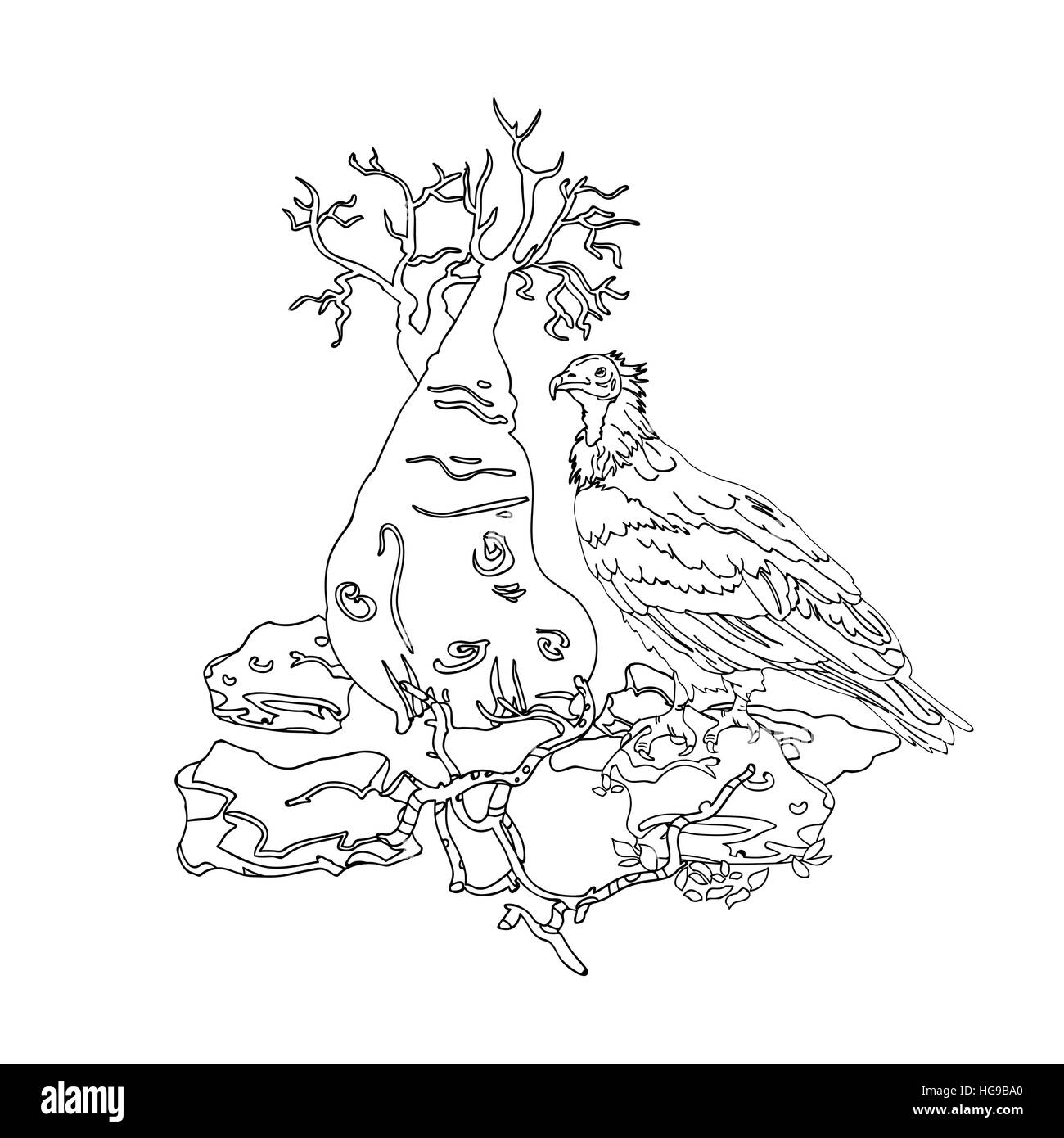 Vulture Socotra isola sulla pietra , bottiglia tree, un bianco e nero illustrazione incisione per la verniciatura nel colore o tatuaggio vintag Illustrazione Vettoriale