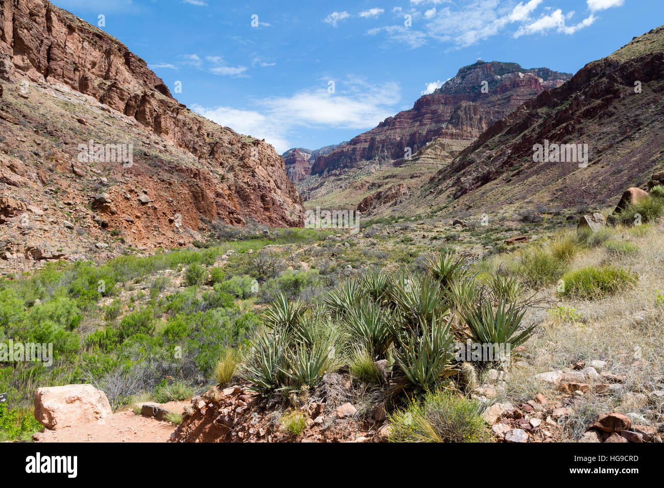 Il North Kaibab Trail salendo verso il North Rim del Grand Canyon. Parco Nazionale del Grand Canyon, Arizona Foto Stock