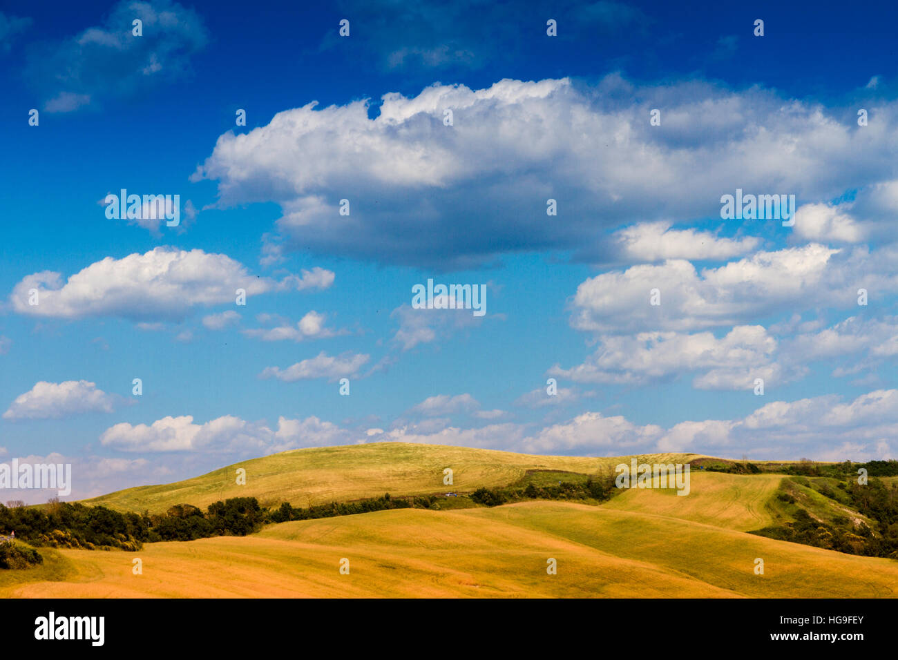 I campi nella soleggiata campagna Toscana, Italia Foto Stock
