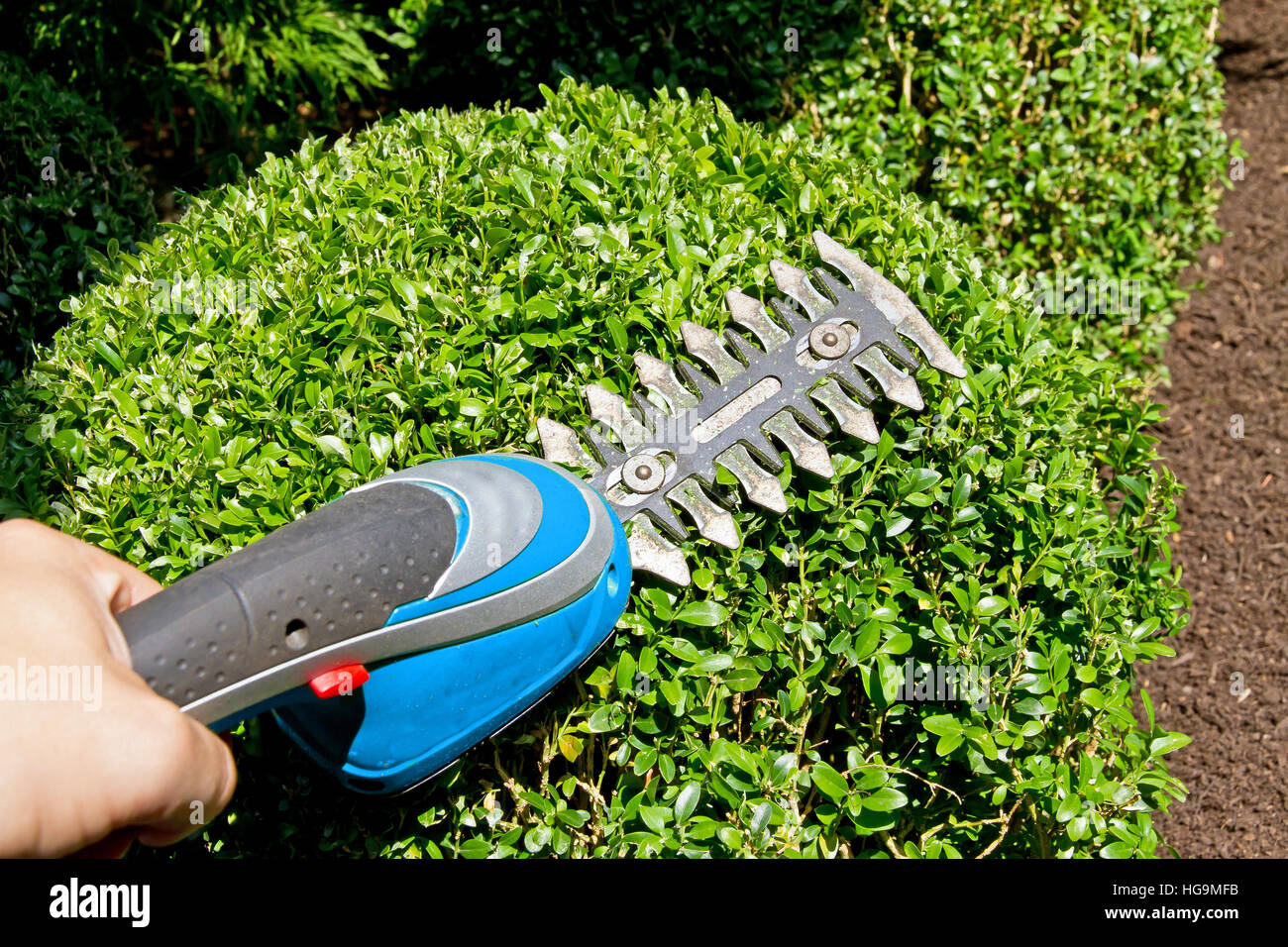 Uomo al lavoro con un taglio elettrico in giardino Foto Stock