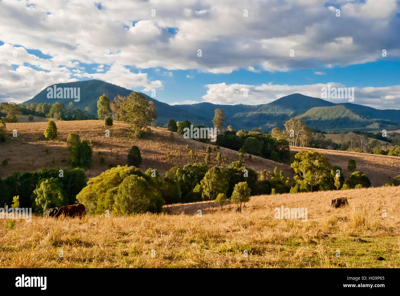 Nimbin, Australia, paesaggio rurale Foto Stock