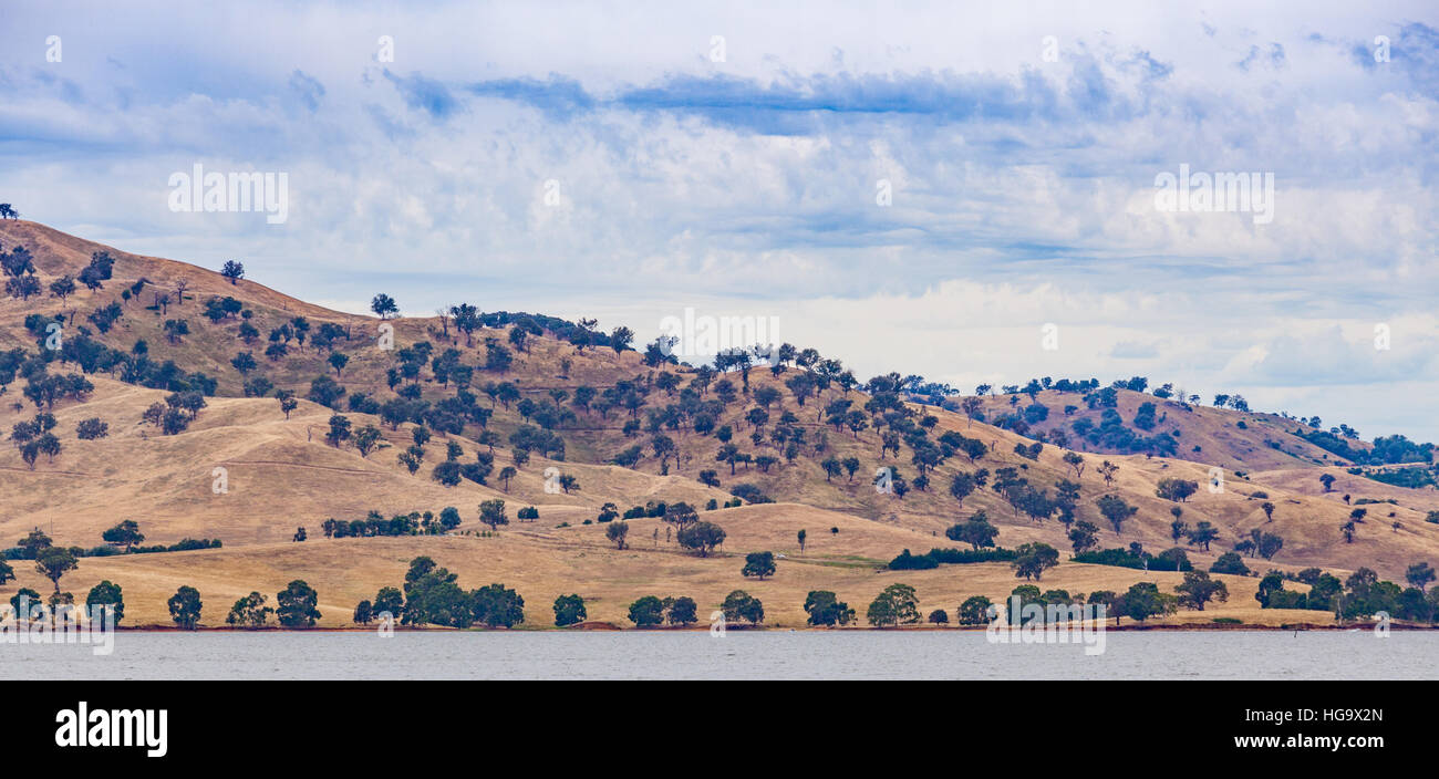 Campagna australiana panorama. Il giallo di colline con alberi sparsi sulle rive del lago di Hume, sulla luminosa giornata di sole. Victoria, Australia. Foto Stock