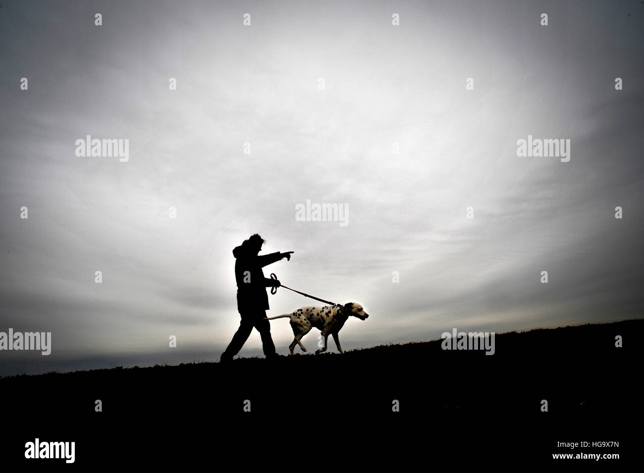 L uomo si prende il suo cane per una passeggiata. Foto Stock