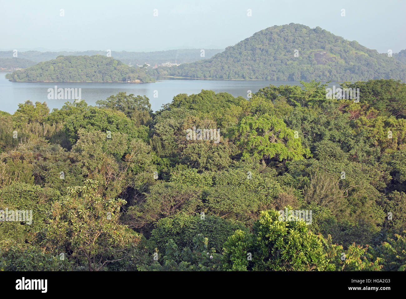 Vista attraverso la foresta tropicale per le isole Lago Giritale, Sri Lanka Foto Stock