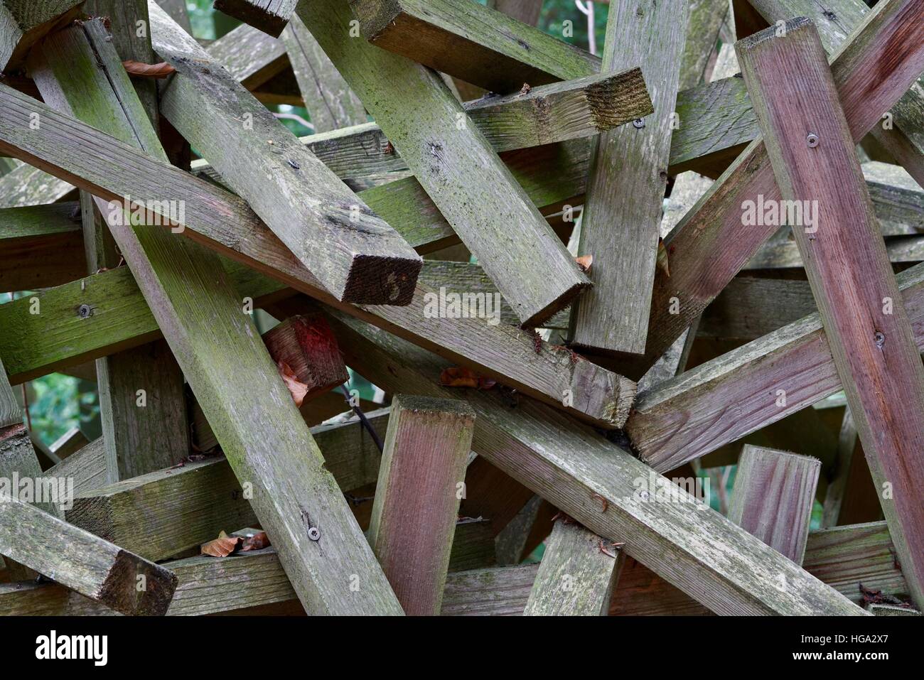 Sfondo di listelli in legno vite insieme Foto Stock