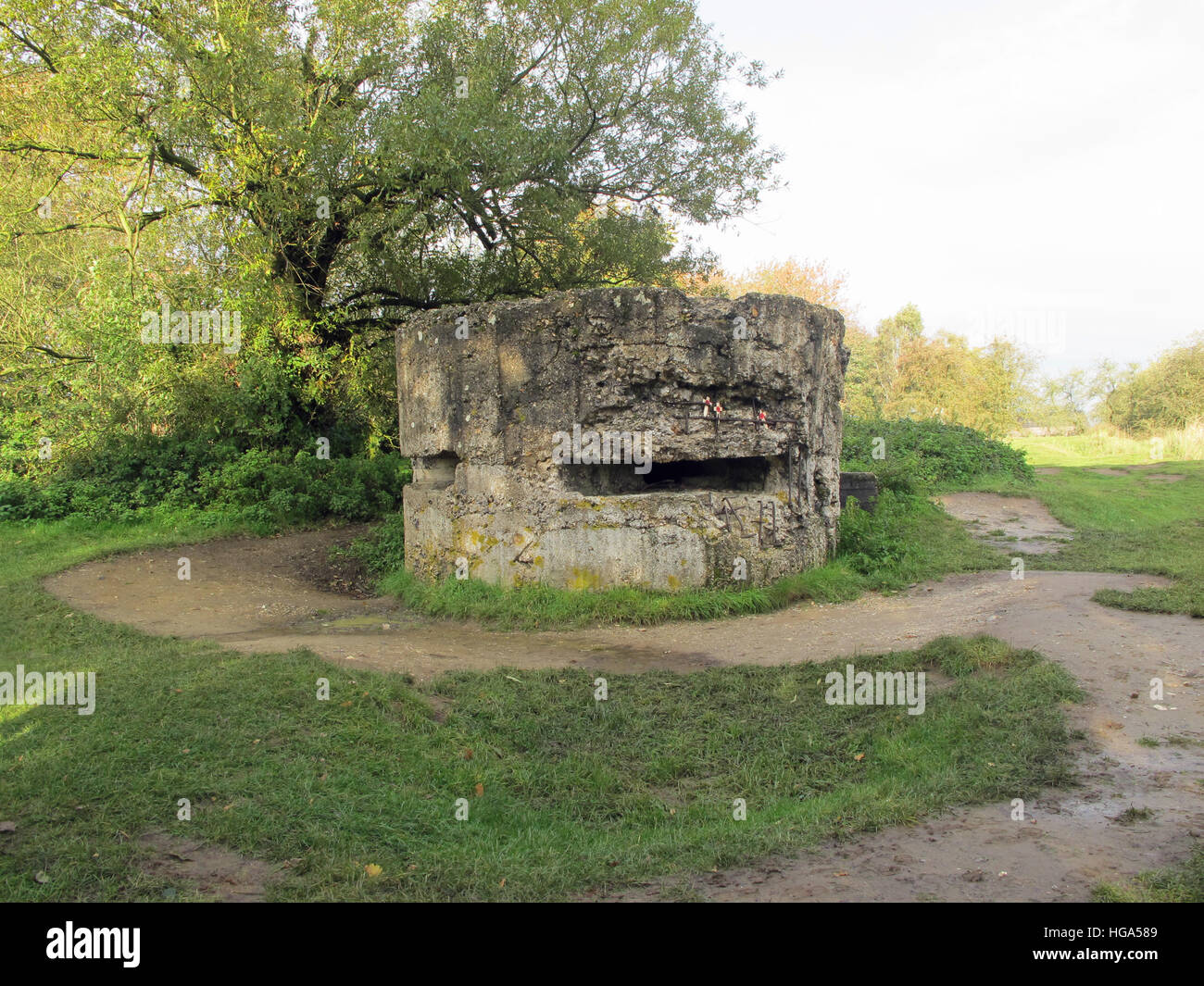 Guerra Mondiale 1 scatola di pillole di calcestruzzo a Ypes Foto Stock