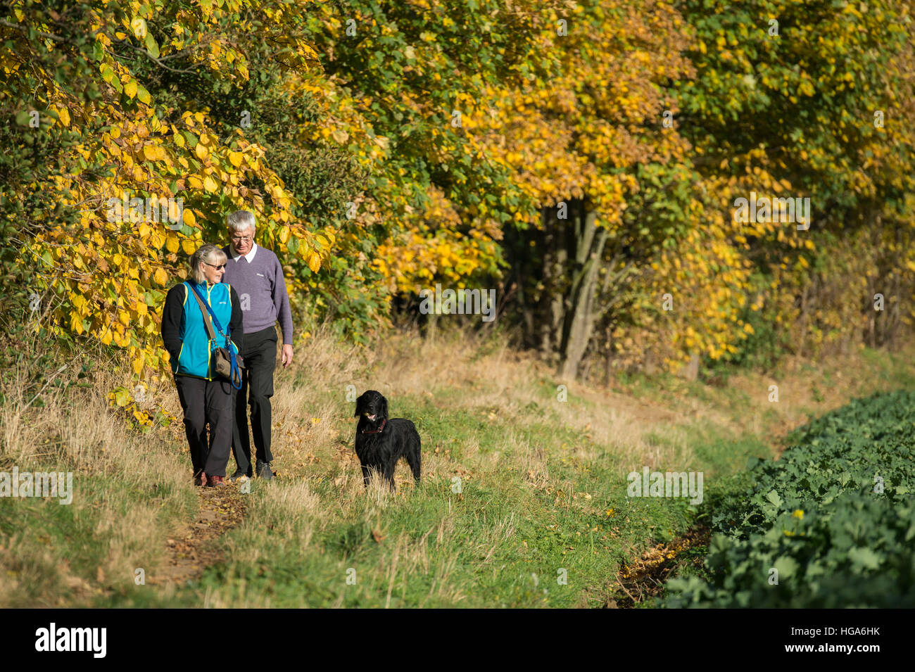 Coppia (uomo e donna) prendere il loro cane nero per una passeggiata in campagna su una luminosa giornata autunnale - North Yorkshire, Inghilterra. Foto Stock