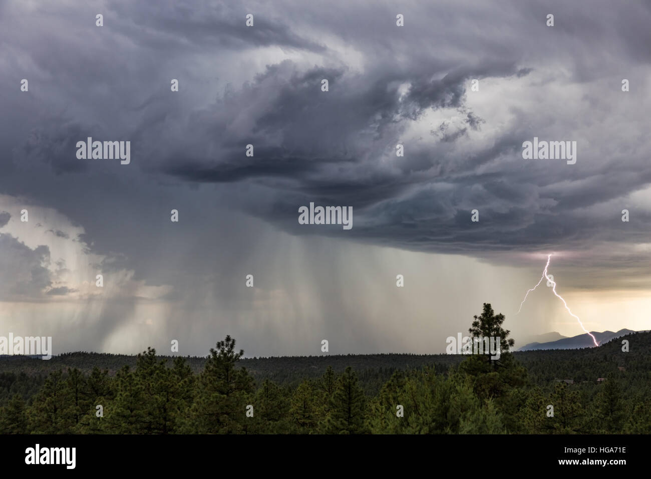 Nuvole di tempesta con pioggia e fulmine vicino a Pine, Arizona Foto Stock