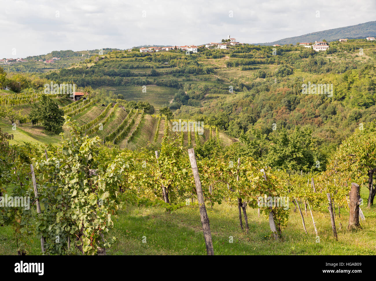 Rurali paesaggio mediterraneo con Smartno villaggio medievale e vigneti. Regione Brda in Slovenia occidentale. Foto Stock