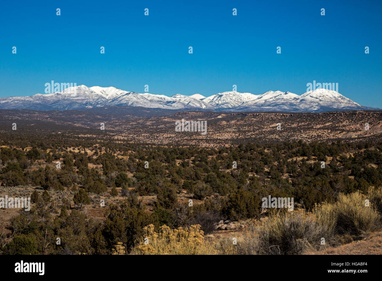 Blanding, Utah - porta le orecchie Monumento Nazionale ant Abajo Mountains. Foto Stock
