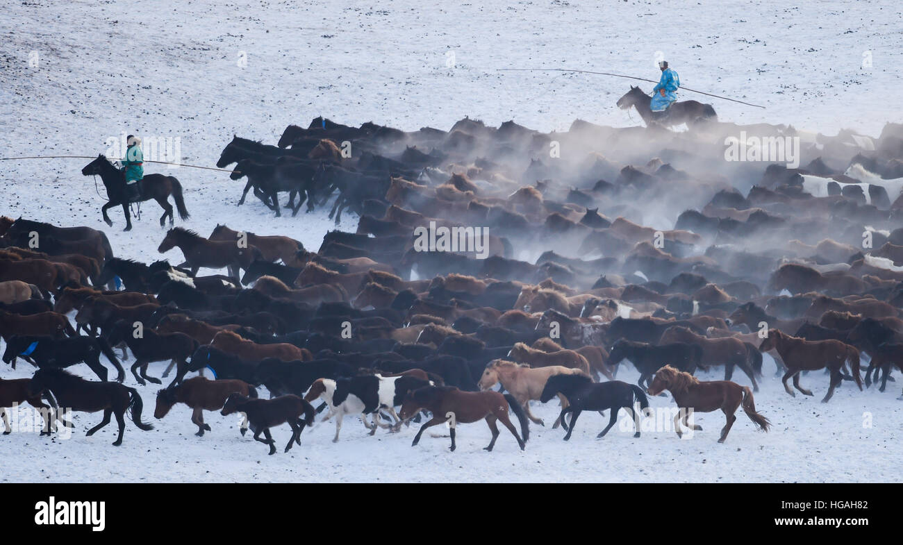 Hohhot, la Cina della Mongolia Interna Regione Autonoma. Il 6 gennaio, 2017. Allevatori Cavalli lazo in Xilinhot, nel nord della Cina di Mongolia Interna Regione Autonoma, Gennaio 6, 2017. © Lian Zhen/Xinhua/Alamy Live News Foto Stock