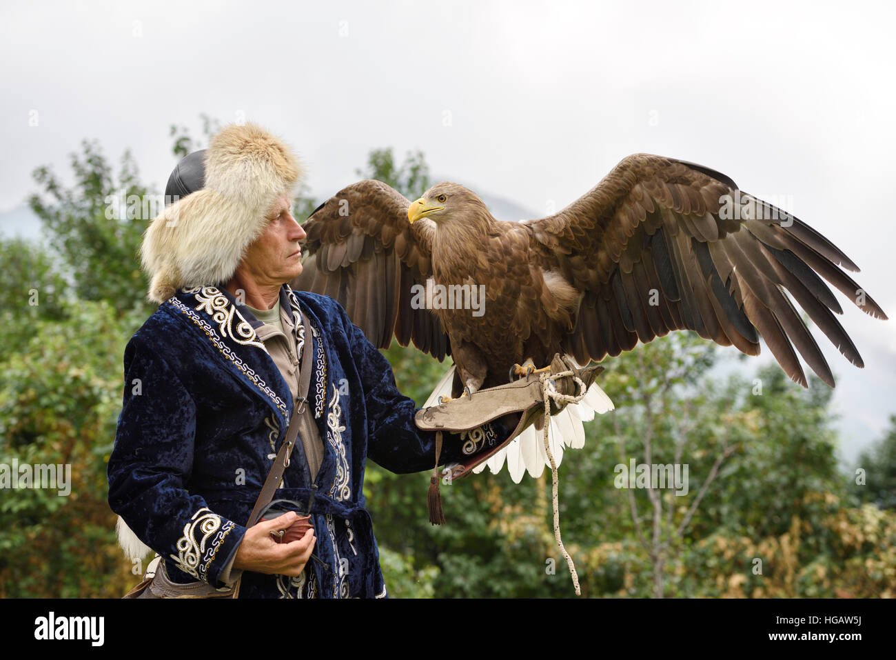 Trainer tenendo un White Tailed Eagle con ali spiegate a Sunkar Falcon Farm Almaty Kazakhstan Foto Stock