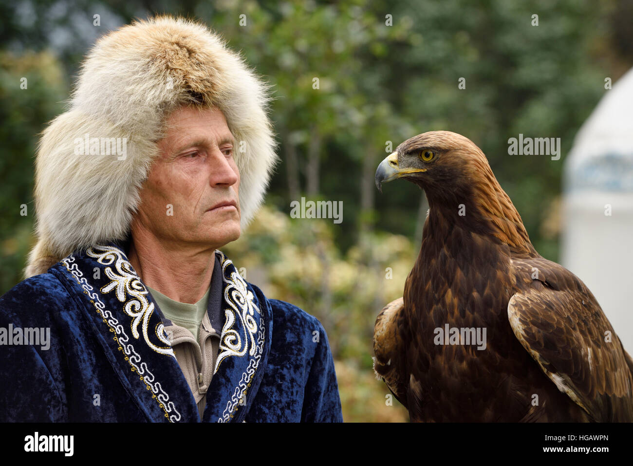 Trainer professionale guardando Golden Eagle a Sunkar Raptor Centre di Alma Arasan Gorge Almaty Kazakhstan Foto Stock